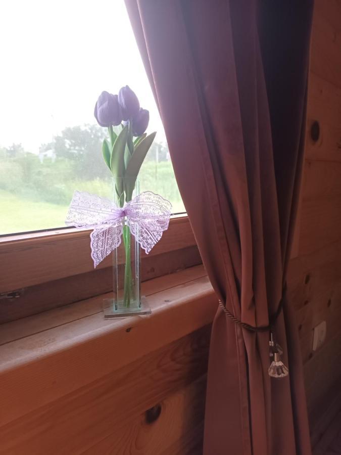 Lolini Bungalovi Novi Sad Luaran gambar