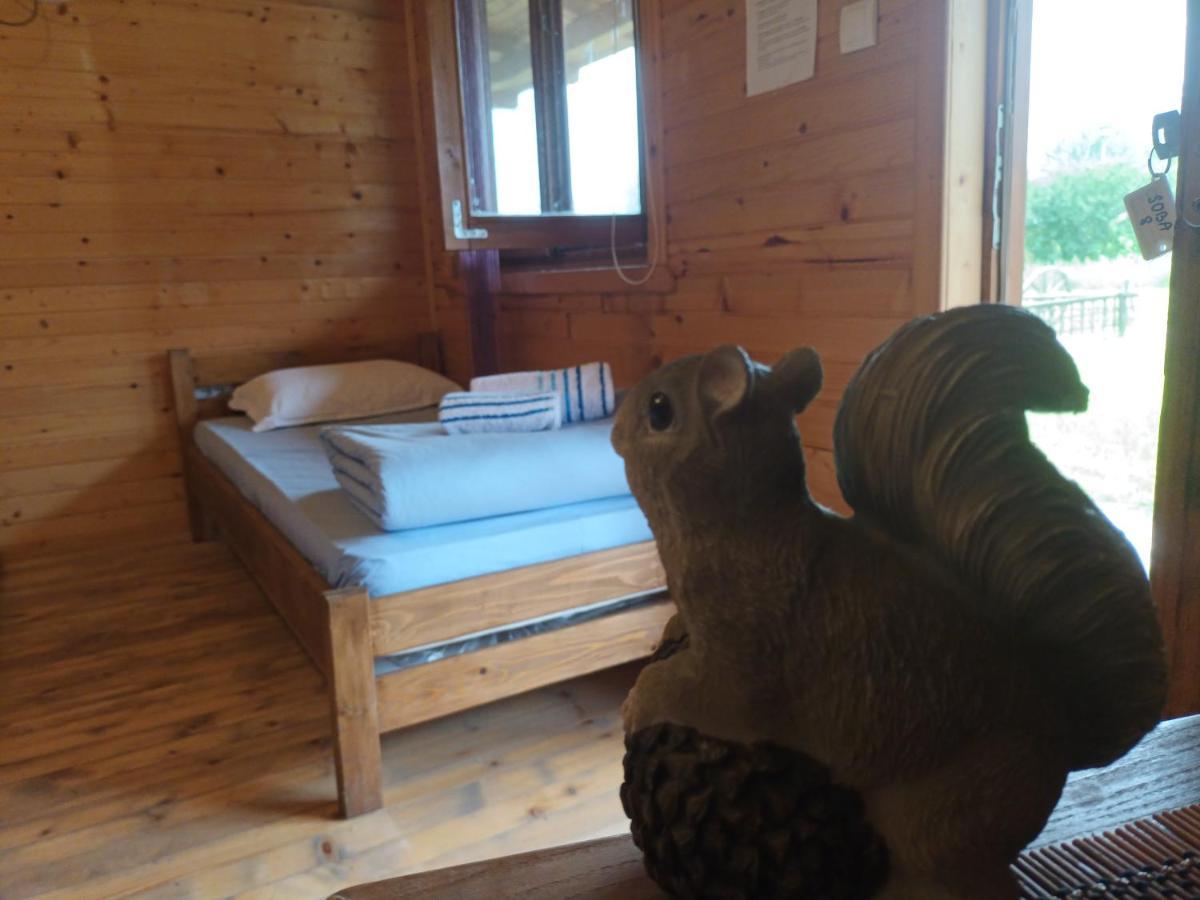 Lolini Bungalovi Novi Sad Luaran gambar