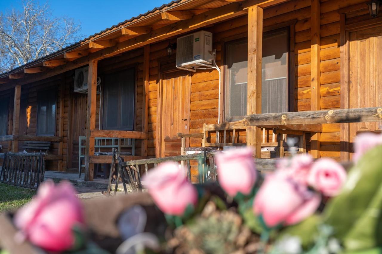 Lolini Bungalovi Novi Sad Luaran gambar